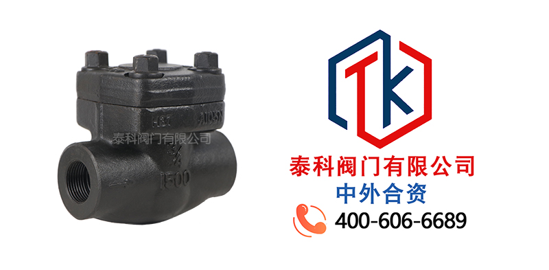 1752630714161211.jpg 對(duì)夾式鍛鋼止回閥拼圖尼必可.jpg