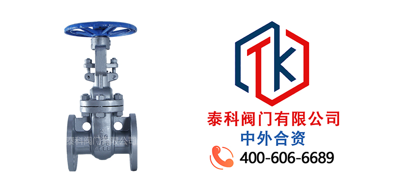 1764725564864486.jpg 鑄鋼法蘭閘閥拼圖尼必可.jpg